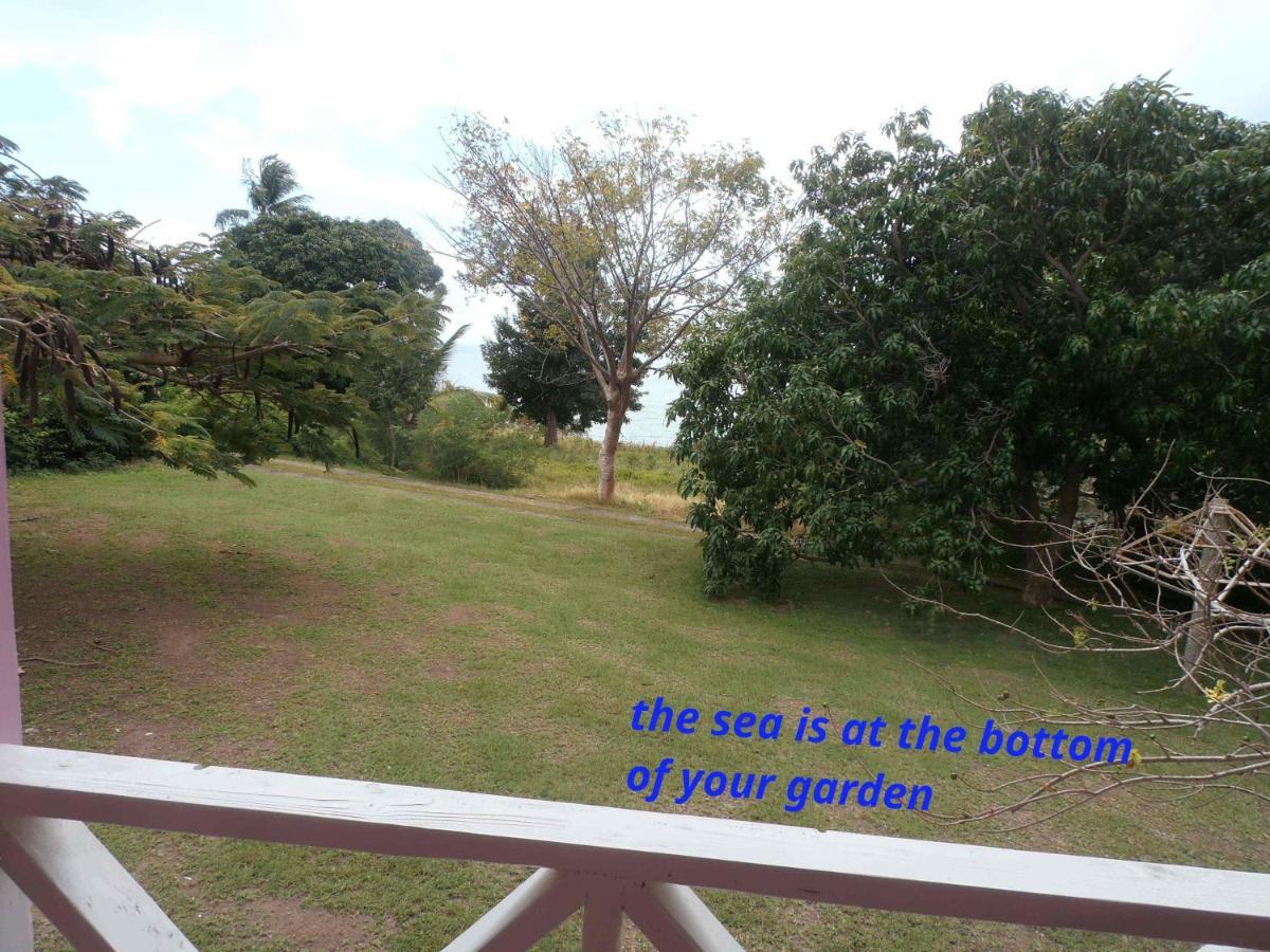 The Pink House Villa Choiseul Buitenkant foto